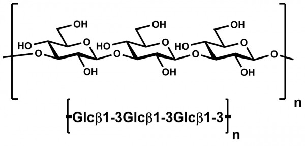 β-1,3-glucan